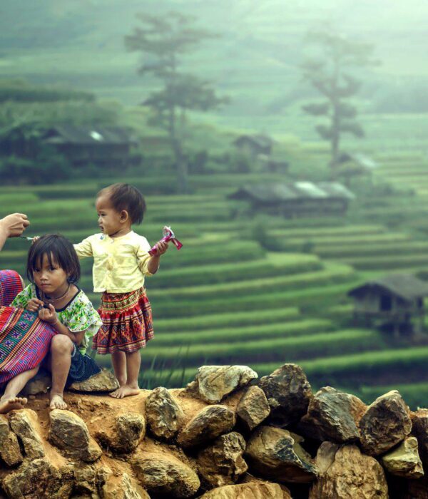 Экскурсия Рисовые террасы в Банауэ