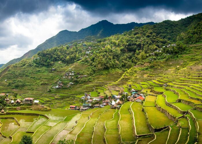 Экскурсия Рисовые террасы в Банауэ