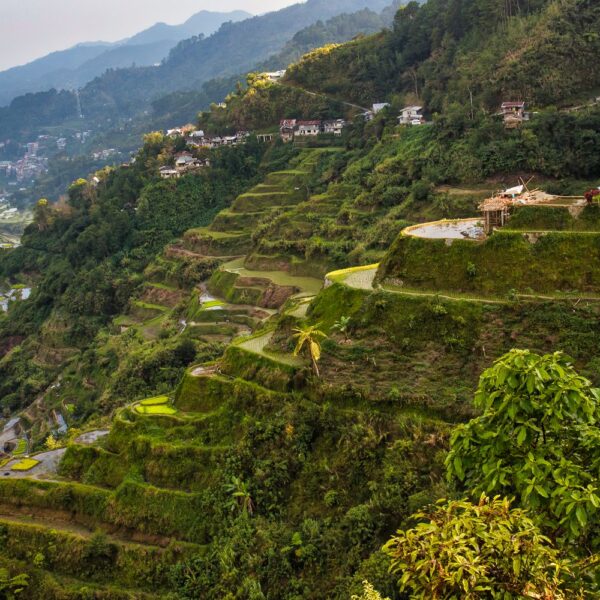 Рисовые террасы Банауэ