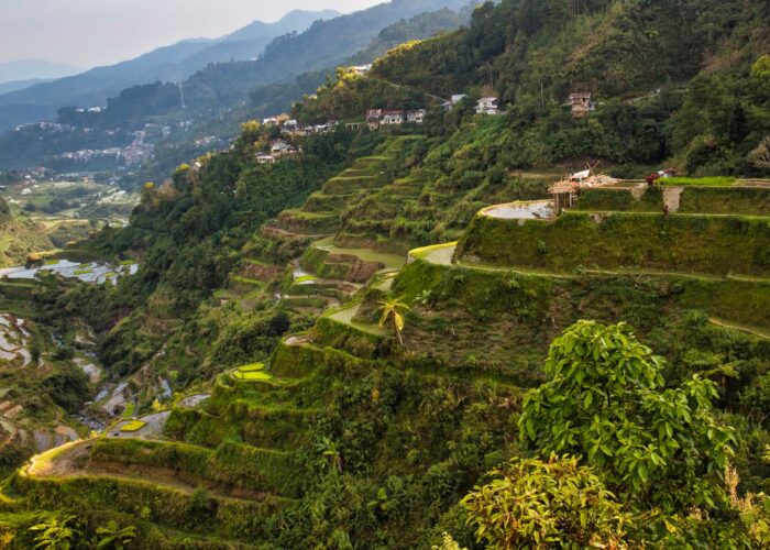 Рисовые террасы Банауэ