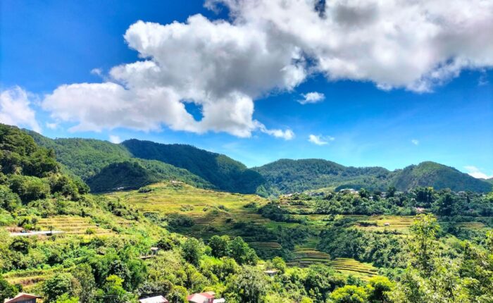 Рисовые террасы в Малигконг