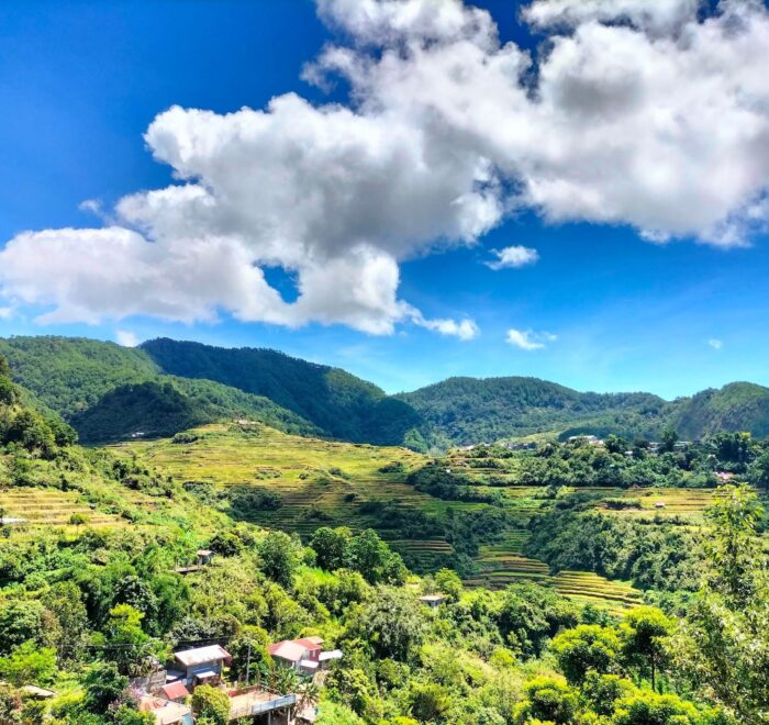 Рисовые террасы в Малигконг