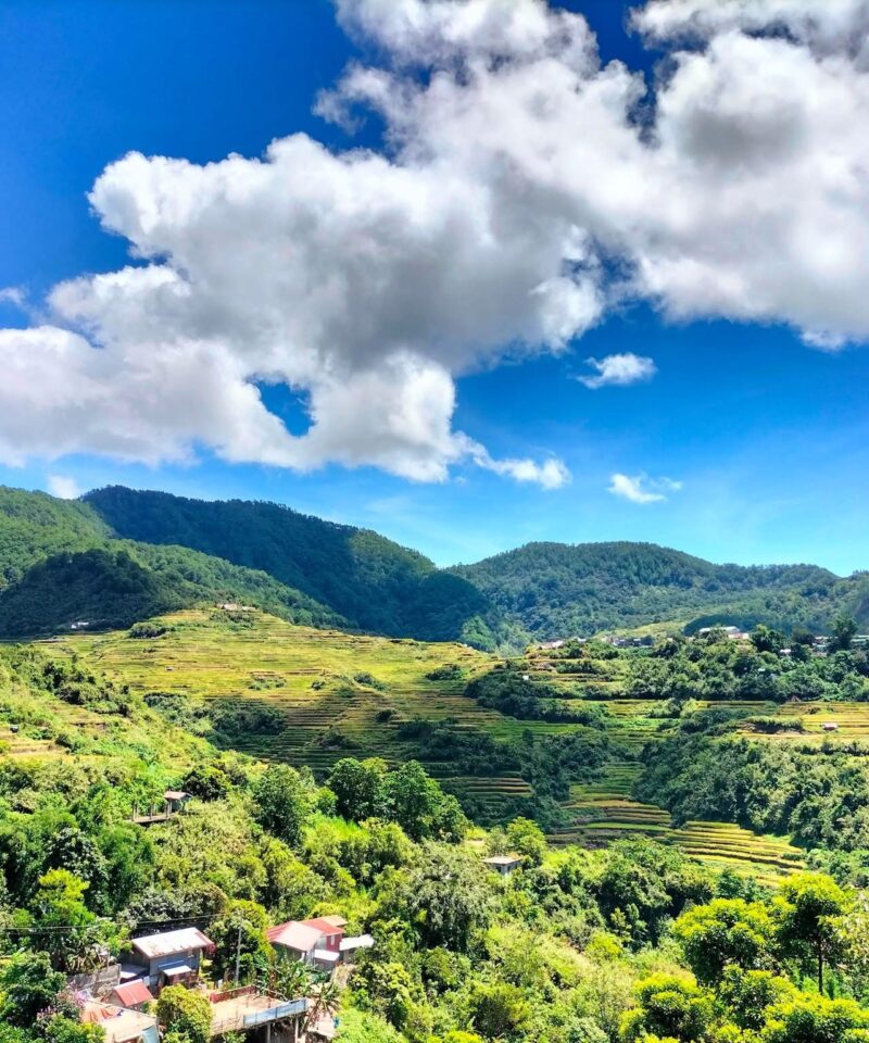 Рисовые террасы в Малигконг