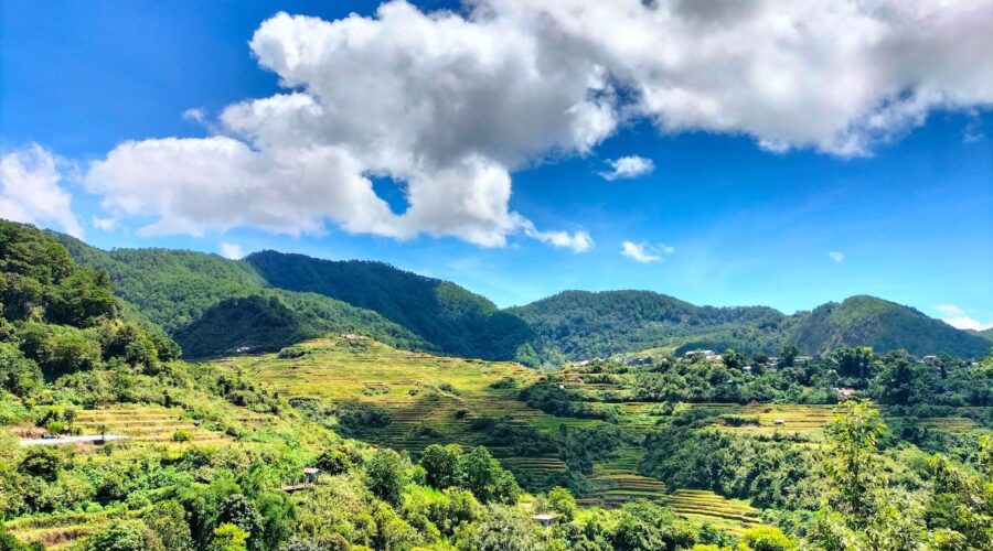 Рисовые террасы в Малигконг